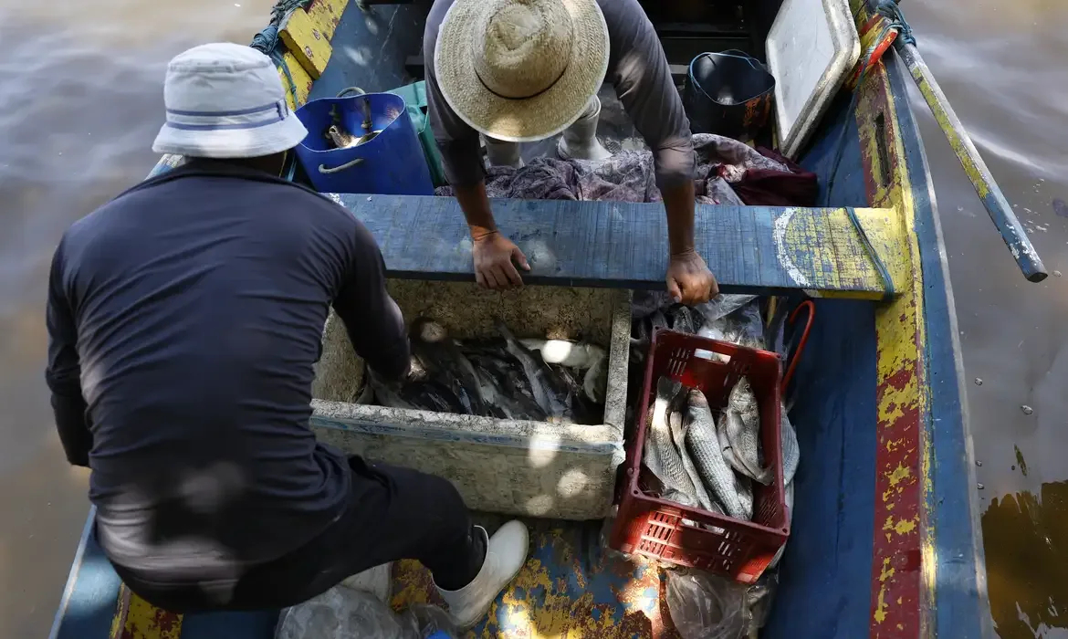 Fernando Frazão/Agência Brasil Magé (RJ), 16/10/2024 - Pesca artesanal da tainha na praia do Sossego, na Baía de Guanabara. Foto: Fernando Frazão/Agência Brasil
